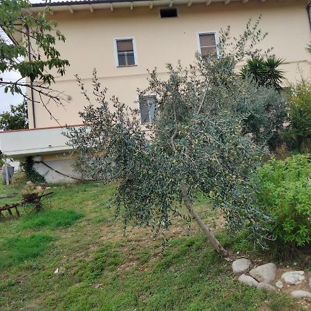 Casa Il Canto Tortoreto Extérieur photo